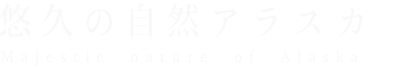 悠久の自然アラスカ