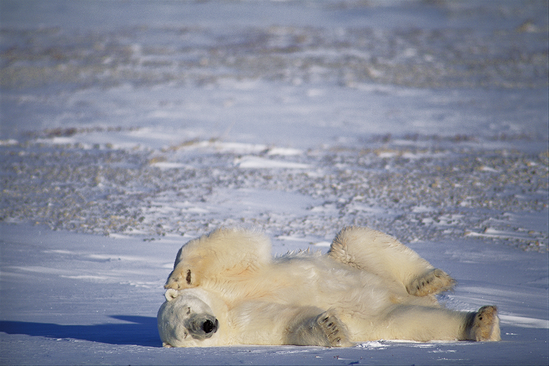 悠久の自然アラスカ - Majestic nature of Alaska -